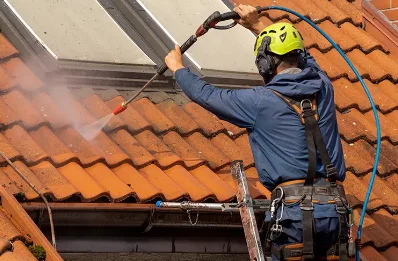 Démoussage et hydrofuge de toiture à Vif